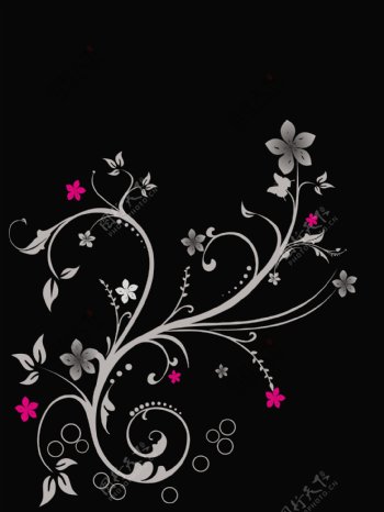 黑色背景上的花型设计
