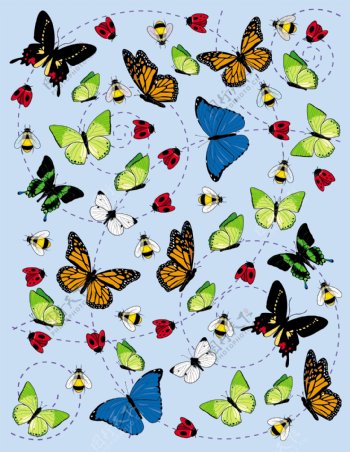 昆虫蝴蝶插画矢量素材
