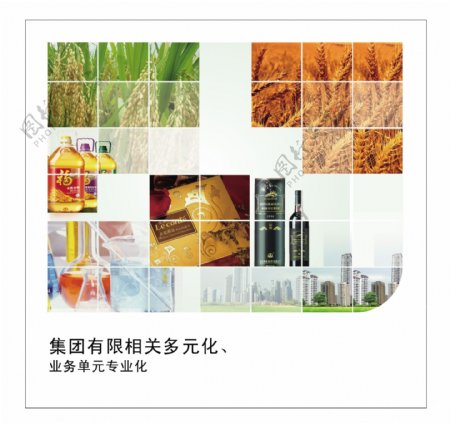 集团企业文化油大米小麦稻谷房子红酒图片