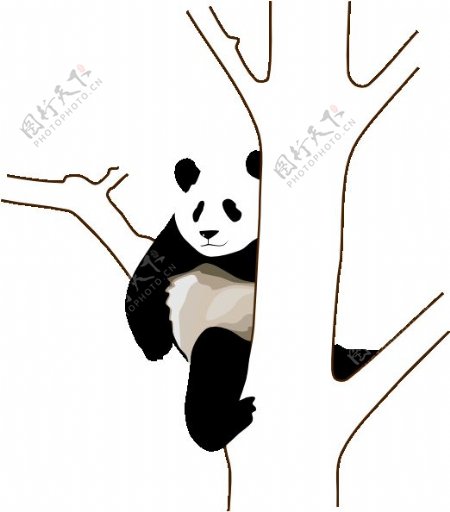 树上的剪贴画熊猫