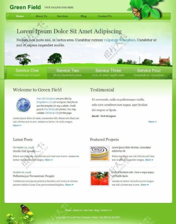 绿色服务CSS网页模板
