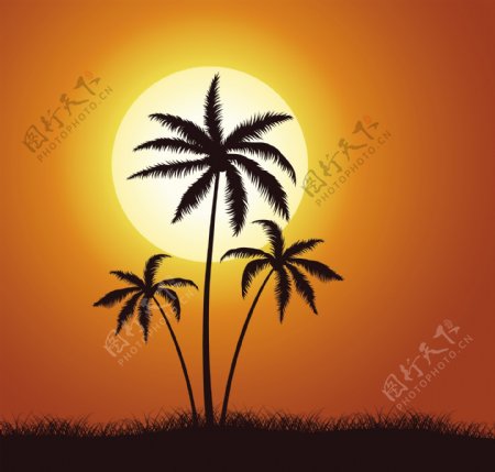 棕榈树矢量夏季插图