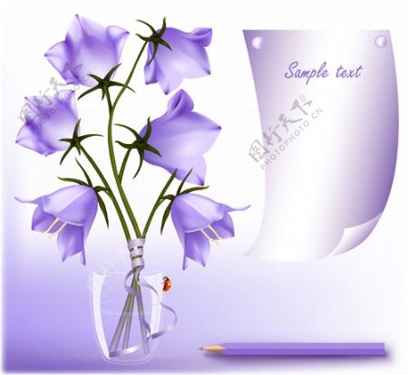 优雅的紫色花朵背景矢量02艺术