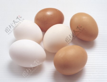 全球首席大百科鸡蛋健康营养
