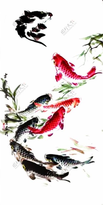 古典水墨画鱼红色黑色鲤鱼古典画