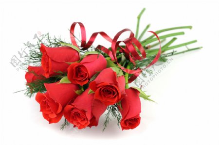高精度一束红色玫瑰花图片素材