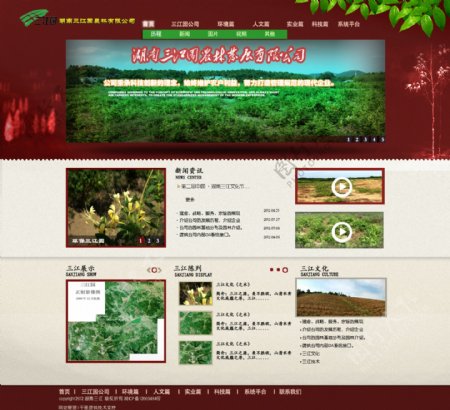 网页园林图片