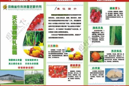 精品蔬菜三折页图片