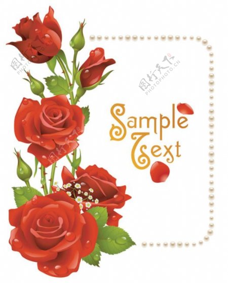 矢量红玫瑰浪漫卡片背景