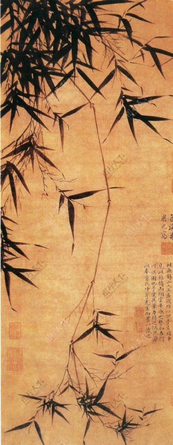 名画竹子