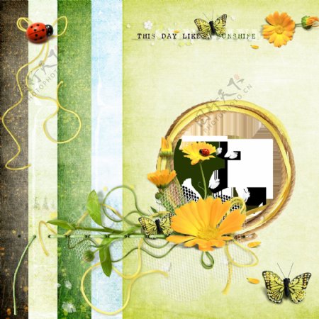 花朵蝴蝶瓢虫相框图片
