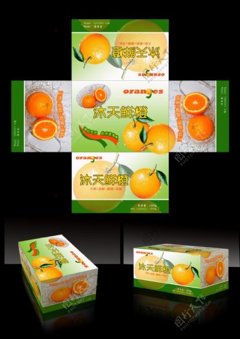 鲜橙包装图片
