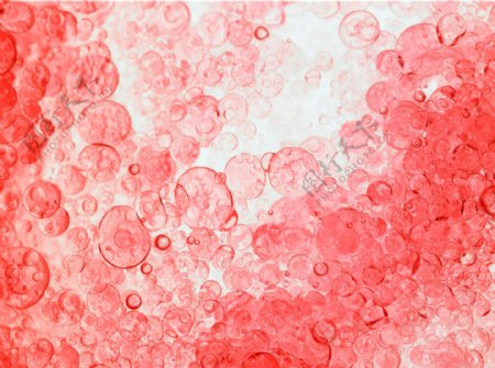 红色动感水泡水纹图片