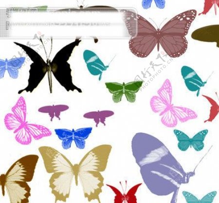 多种漂亮的蝴蝶笔刷集