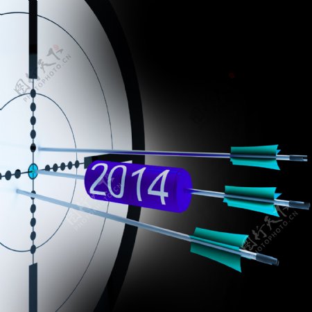 2014个目标显示成功的未来增长