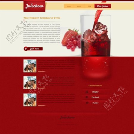 漂亮的果汁网页模板PSD素材