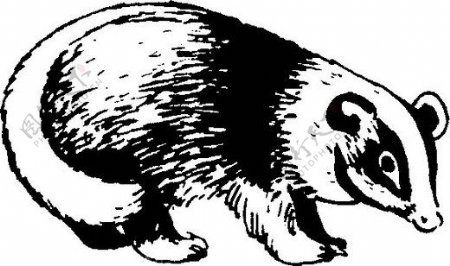 位图动物熊色彩黑白色免费素材