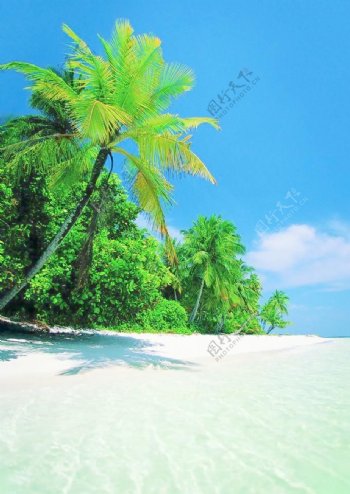 沙滩岛屿图片