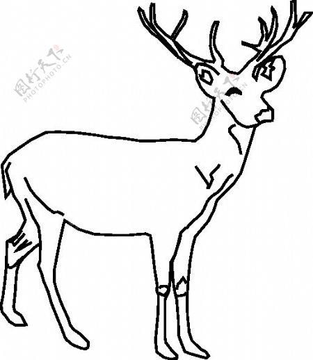鹿的剪辑艺术