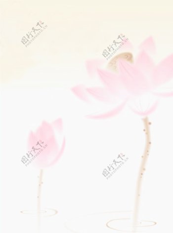 粉色莲花中国风背景图