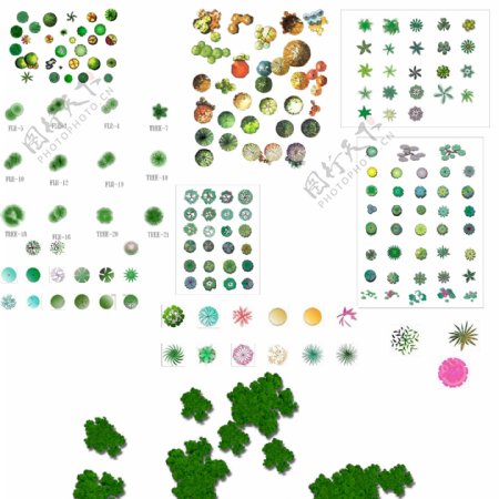 园林植物平面素材彩图PSD