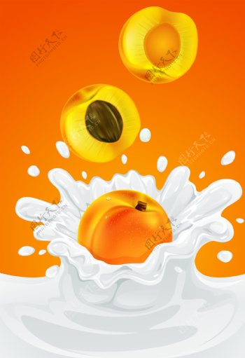 牛奶与杏子