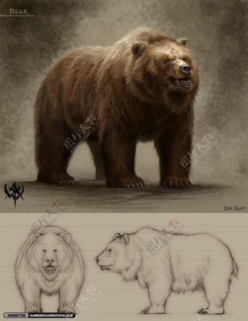 棕熊原画