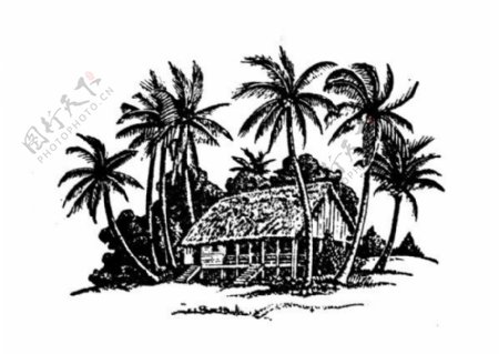 手绘的椰子树和房子矢量