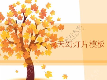秋天枫叶树木PPT模板