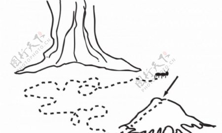 蚂蚁路径矢量插画