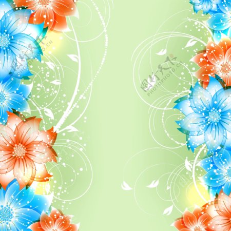 花卉花朵背景图片