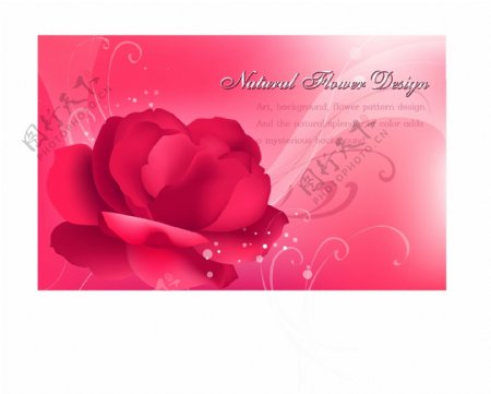 红色玫瑰温馨花园花边插画矢量素材