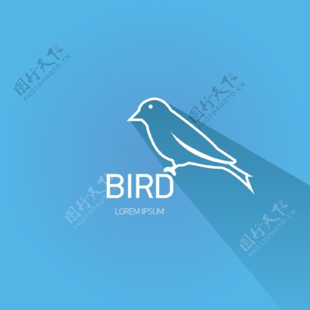 鸟类标志海报
