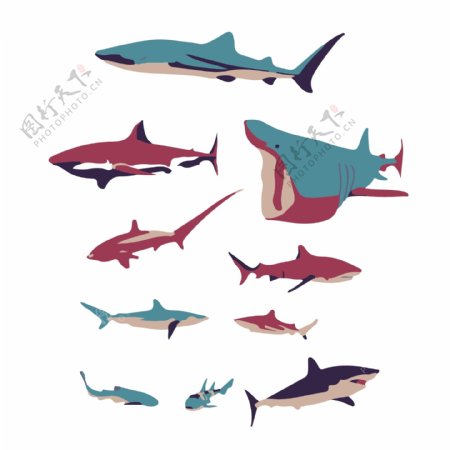 印花矢量图动物鲨鱼艺术水彩免费素材