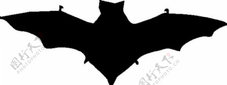 蝙蝠的剪影艺术剪辑