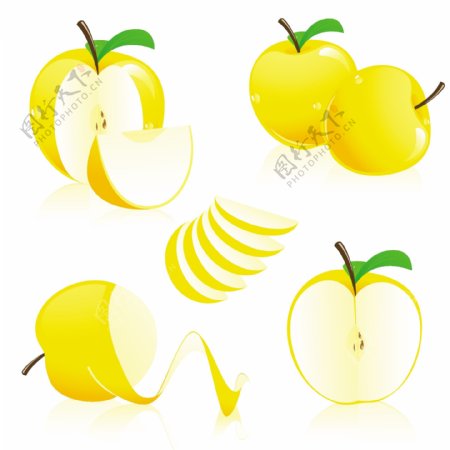 矢量素材黄苹果
