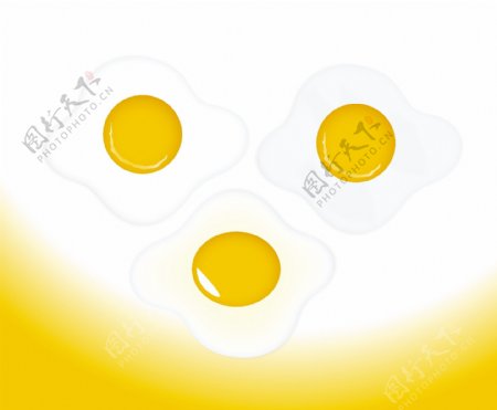 蛋黄向量