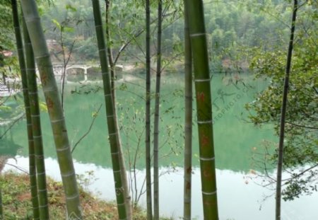 宜兴竹湖图片