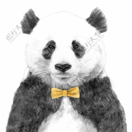 位图艺术效果手绘动物熊猫免费素材