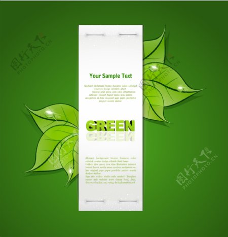 绿色梦幻卡片设计
