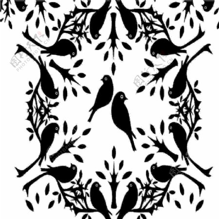 黑白鸟设计图花边花纹底纹边框