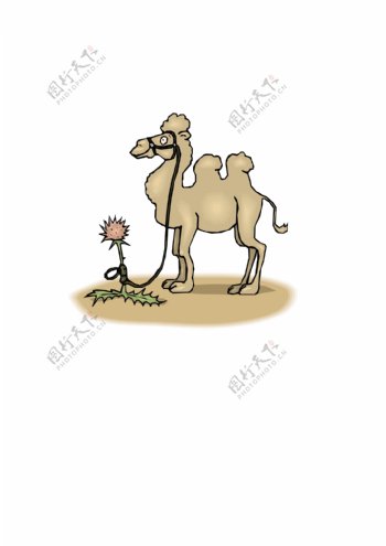 骆驼3向量