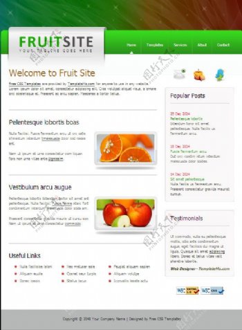 缤纷水果网页模板CSS