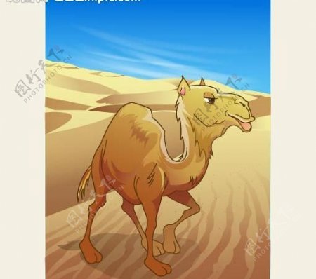 可爱动物绿色金色骆驼图片