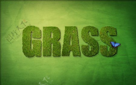 绿色草地壁纸