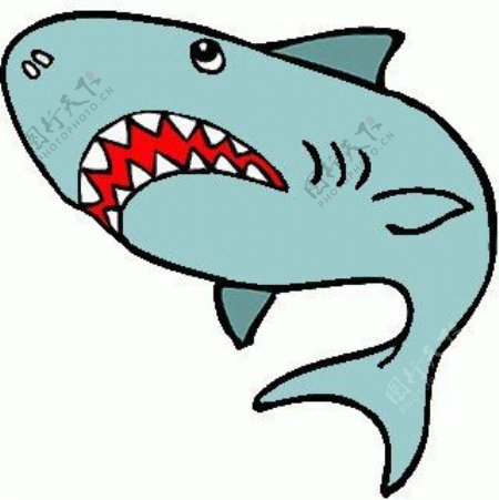 位图卡通动物鲨鱼可爱卡通色彩免费素材