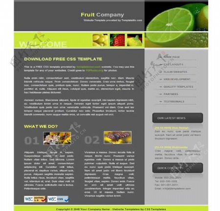 国外绿色水果网站模版