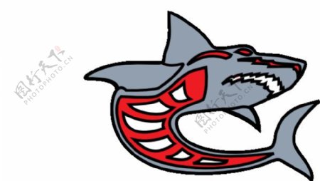 灰鲨灰红的灰化的剪贴画