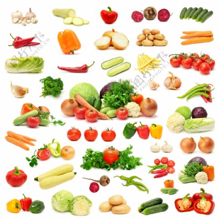 水果蔬菜大全图片