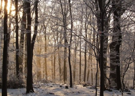 匈牙利冬日风景图片